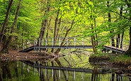 Brücke über zwei Seen, Foto: Florian Läufer, Lizenz: Seenland Oder-Spree