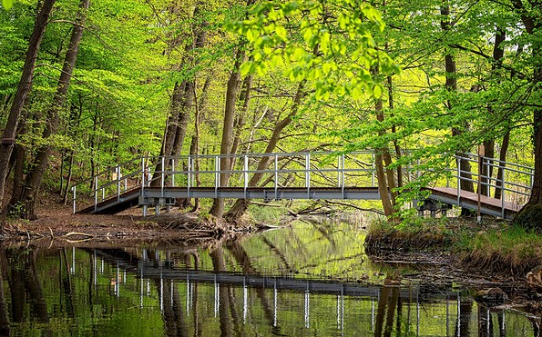 Brücke über zwei Seen, Foto: Florian Läufer, Lizenz: Seenland Oder-Spree