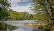 Däbersee , Foto: Florian Läufer, Lizenz: Seenland Oder-Spree