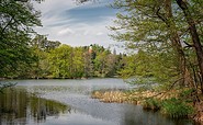 Däbersee , Foto: Florian Läufer, Lizenz: Seenland Oder-Spree