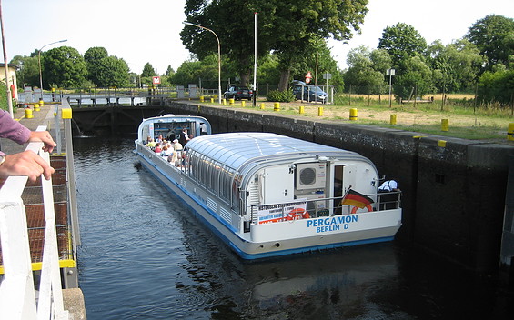 Storchennest in Blankensee Nahaufnahme