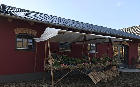 Regionalladen Flieth Gemüse, Foto: Anet Hoppe