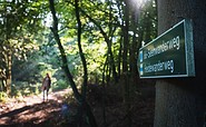 auf dem 66-Seen-Wanderweg im Annatal, Foto: Christoph Creutzburg, Lizenz: Seenland Oder-Spree