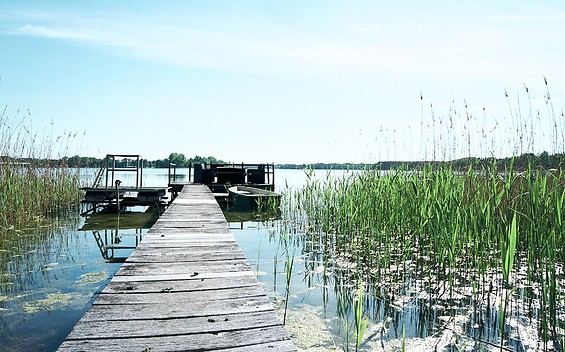 Steg zum Gewässer am Ferienhaus am Wandlitzsee, Foto: Ferienhaus am Wandlitzsee, Lizenz: Ferienhaus am Wandlitzsee