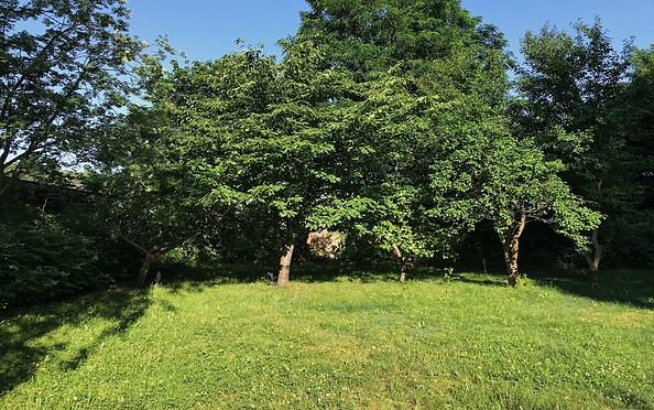 Blick in den Garten und zu den Obstbäumen, Foto: Maria Falkenberg, Lizenz: TMB-Fotoarchiv
