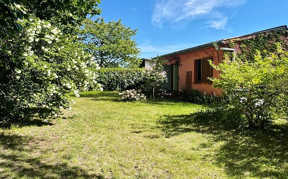 Kleine Havelfinca