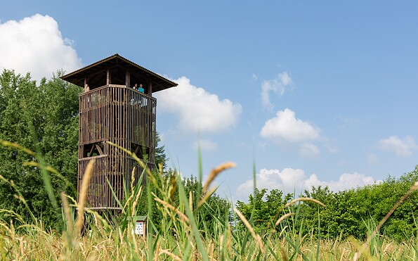Observation tower Groß Schauen, Foto: Florian Läufer, Lizenz: Seenland Oder-Spree
