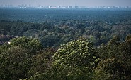 Blick nach Berlin vom Aussichtsturm Woltersdorf, Foto: Christoph Creutzburg, Lizenz: Seenland Oder-Spree