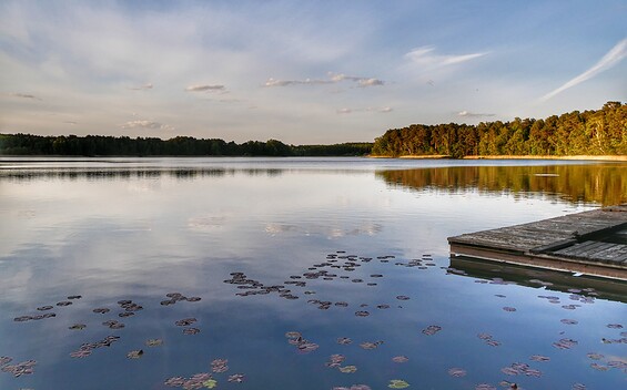 Glubigsee, Foto: Angelika Laslo, Lizenz: Seenland Oder-Spree