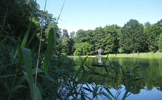 Grosser Warthesee mit Sprungturm, Foto: Anet Hoppe
