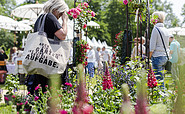 Gartenfestival in Park und Schloss Branitz, Foto: Florian Bröcker, Lizenz: Florian Bröcker