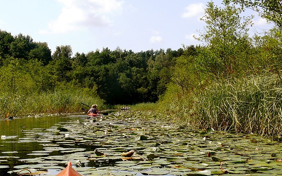 Between water lilies and grass snakes : canoe tour from Scharmützelsee to the Glubigseenkette - tour for late riser