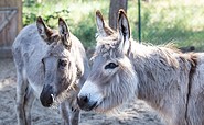 Kindertierhof und Freizeitpark Wendisch Rietz, Foto: Florian Läufer, Lizenz: Seenland Oder-Spree