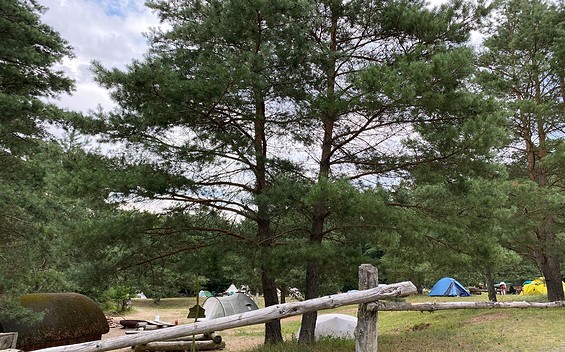 Zeltwiese an der Kolbatzer Mühle, Foto: Alena Lampe