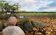 Field stones, Foto: Annett Kiesner