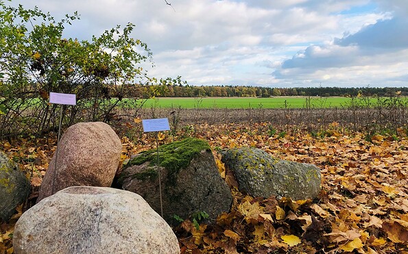 Field stones, Foto: Annett Kiesner