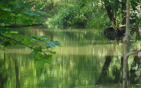 Hauptgraben Letschin, Foto: Kessler