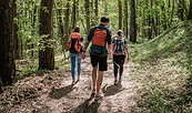 Wanderung Lange Dammwiesen, Foto: Christoph Creutzburg , Lizenz: Seenland Oder-Spree