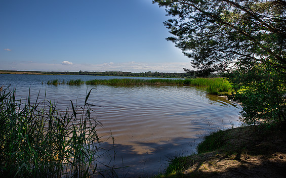 Bathing Area in Casel at Lake Gräbendorf, Foto: Marco Wentworth, Lizenz: Stadt Drebkau/Drjowk