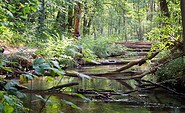 Naturparkroute Märkische Schweiz, Foto: Florian Läufer, Lizenz: Seenland Oder-Spree e. V.