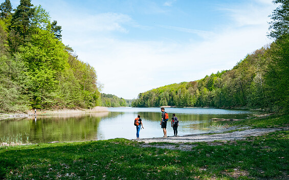 Gamengrund, 66-Seen-Wanderweg , Foto: Christoph Creutzburg, Lizenz: Seenland Oder-Spree
