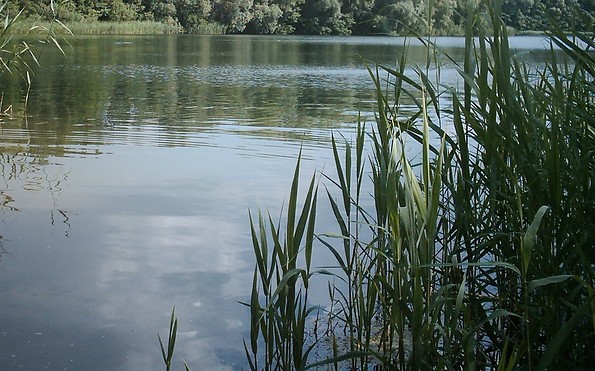 Blick auf den Krimnicksee, Foto: Juliane Frank, Lizenz: Tourismusverband Dahme-Seenland e.V.