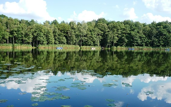 Blick auf den "Krummer See", Foto: Dana Klaus, Lizenz: Tourismusverband Dahme-Seenland e.V.