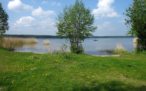 Blick auf den Motzener See, Foto: Günter Schönfeld, Lizenz: Tourismusverband Dahme-Seenland e.V.