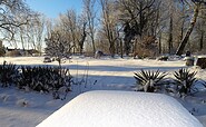 Der Garten in der Wintersonne