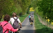 Eine Radtour im Havelland, Foto: Tourismusverband Havelland e.V., Foto: Tourismusverband Havelland e.V., Lizenz: Tourismusverband Havelland e.V.