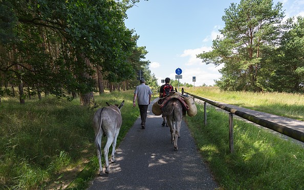 Unterwegs mit Eseln, Foto: Steffen Lehmann, Lizenz: TMB Fotoarchiv