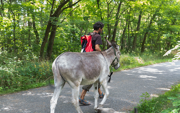 Unterwegs mit den Eselnomaden, Foto: Steffen Lehmann, Lizenz: TMB Fotoarchiv