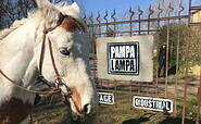 horses welcome, Foto: Tina Hecke, Lizenz: PAMPALAMPA