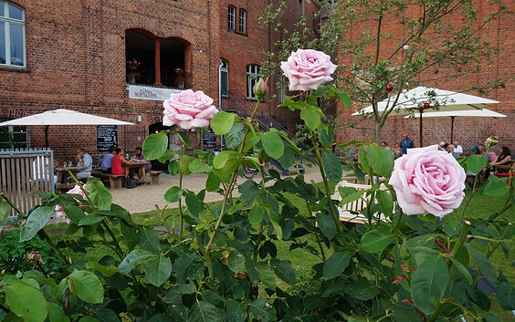 Das Café Kaffeemühle in Lychen, Foto: Jan Hoffmann, Lizenz: Jan Hoffmann