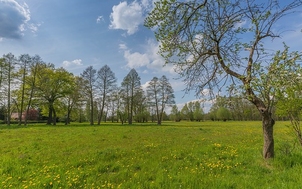 Landschaft bei Burg im Spreewald, Foto: Steffen Lehmann, Lizenz: TMB-Fotoarchiv