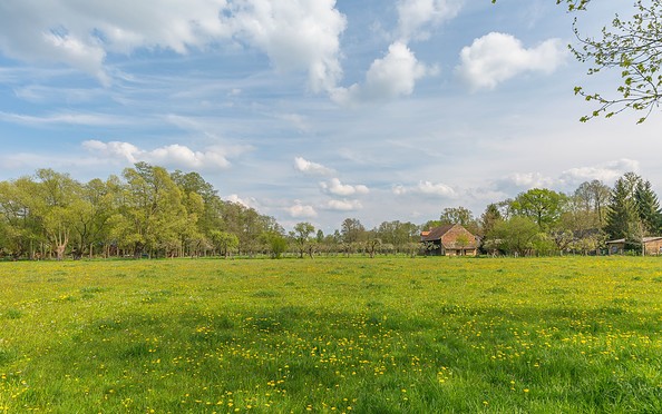 Typical landscape in Burg (Spreewald), Foto: Steffen Lehmann, Lizenz: TMB-Fotoarchiv
