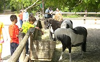 Kindertierpark, Foto KiEZ Frauensee