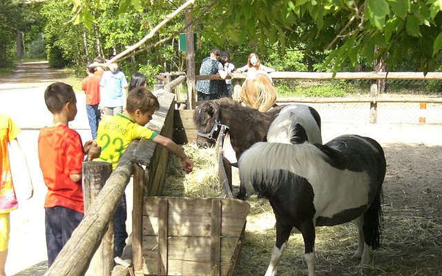 Kindertierpark, Foto KiEZ Frauensee