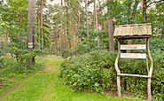 Trail through the forest, Foto: Waldhaus Prieros