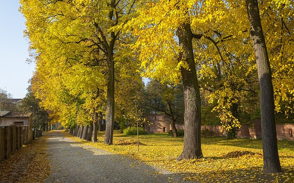 Herbst in Elbe-Elster, Foto: Andreas Franke, LKEE, Lizenz: TVEEL