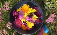 Blütenbutter, Foto: Manuela Röhken, Lizenz: Manuela Röhken