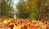 Werbellinkanal im Herbst, Foto: Jürgen Rocholl, Lizenz: Gemeinde Schorfheide