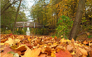 Werbellinkanal im Herbst, Foto: Jürgen Rocholl, Lizenz: Gemeinde Schorfheide