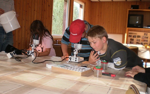 Kinder beim Mikroskopieren © Thomsdorf