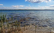 Blick vom Ufer auf das Wasser des Scheibe-Sees, Foto: Corinna Stumpf, Lizenz: Stadt Hoyerswerda