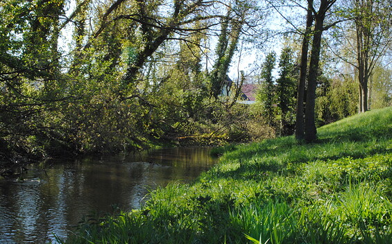 The Egelneisse stream, Foto: MuT ― Marketing und Tourismus Guben e.V., Lizenz: MuT ― Marketing und Tourismus Guben e.V.