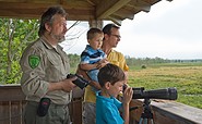 Aussichtsturm am Dubringer Moor, Foto: Nada Quenzel, Lizenz: Tourismusverband Lausitzer Seenland e.V.