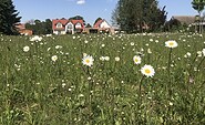 Landhaus Alwine