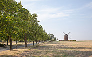 Feld bei Dennewith mit Windmühle im Hintergrund, Foto: Jedrzej Marzecki, Lizenz: Tourismusverband Fläming e.V.