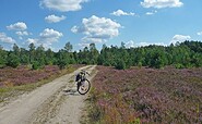 Radpause in der Heide, Foto: Matthias Schäfer, Lizenz: TMB Tourismus-Marketing Brandenburg GmbH